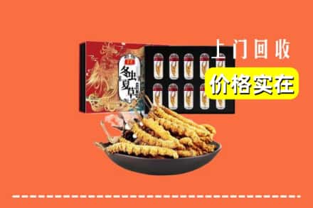 忻州市定襄回收冬虫夏草