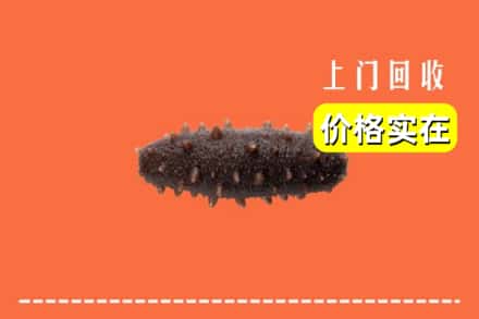忻州市定襄回收海参