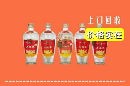 忻州市定襄回收老五粮液